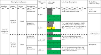An empirical method to compensate the NMR calibrated porosity of the tight volcanic rocks based on comprehensive laboratory studies